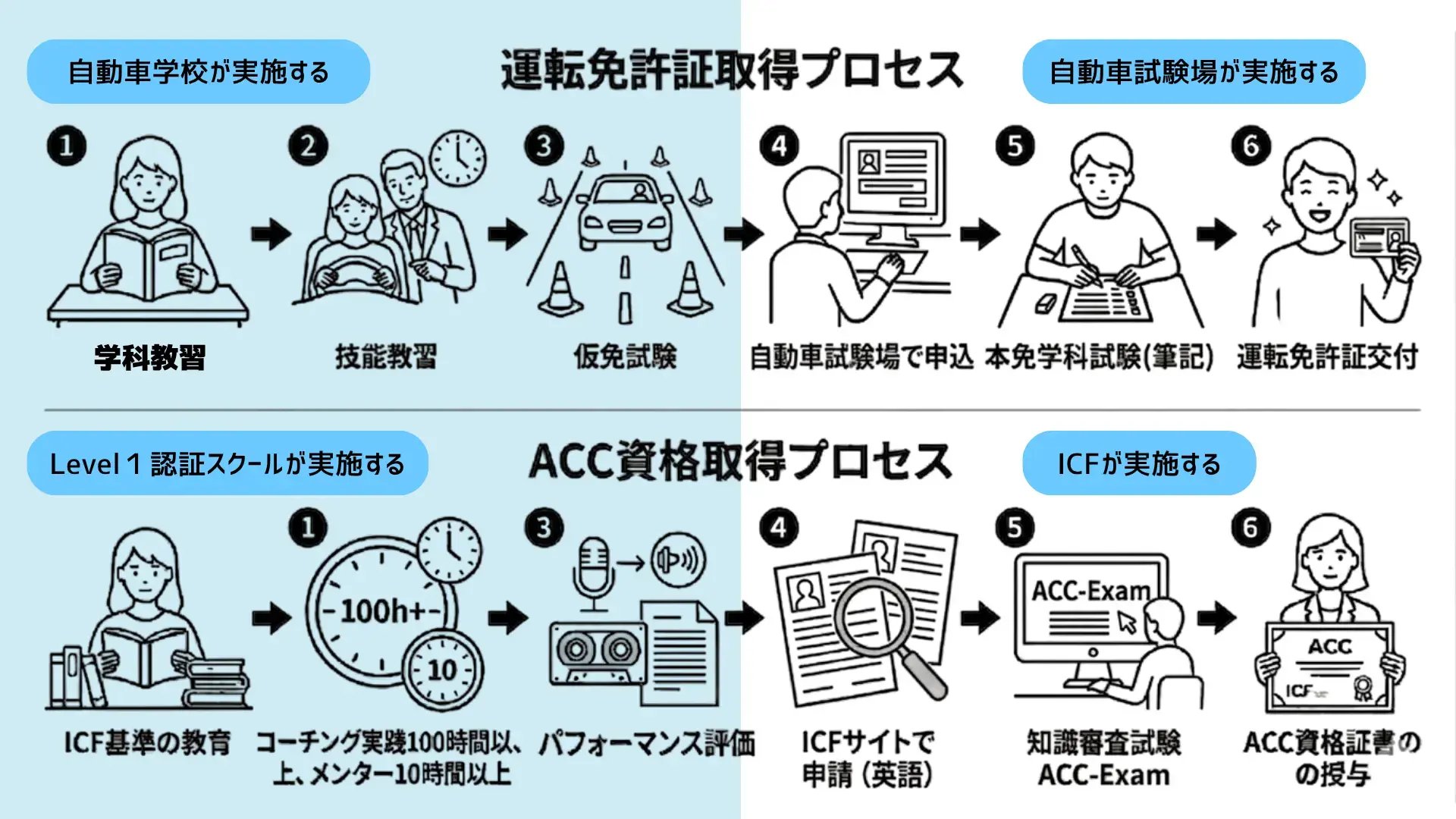 運転免許取得とACC資格取得の6ステップを対比したインフォグラフィック