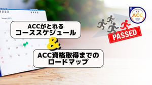 ACCがとれるコースのスケジュール2025